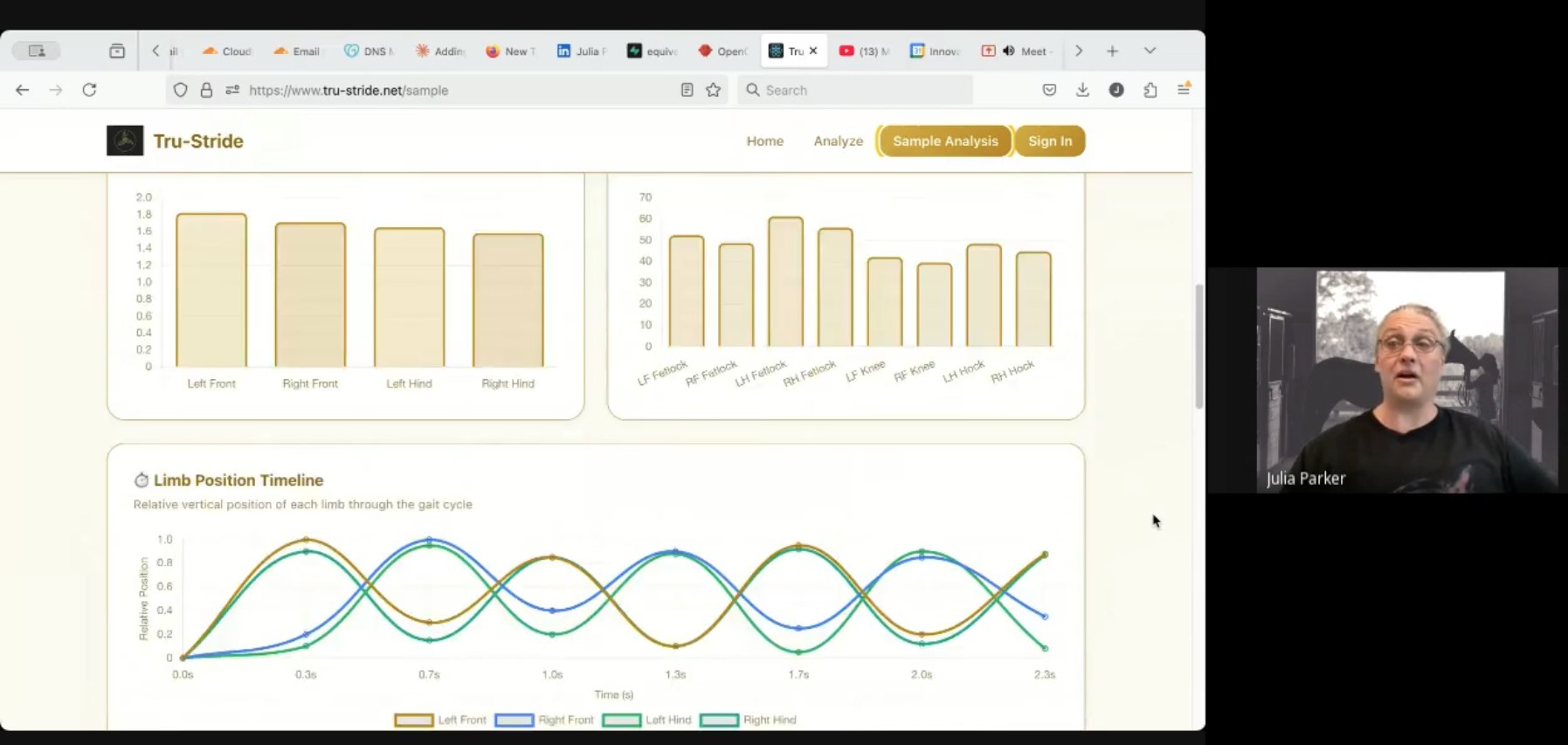 Tru-Stride — ML-powered equine gait analysis built by a non-technical founder using AI agents